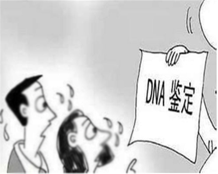 海口医院做亲子鉴定收费,海口医院做血缘检测出结果时间